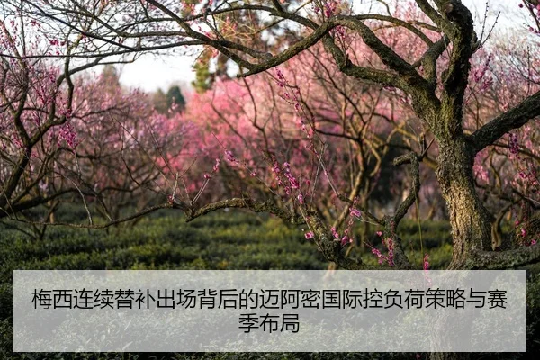 梅西连续替补出场背后的迈阿密国际控负荷策略与赛季布局